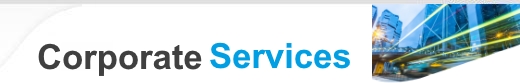data services